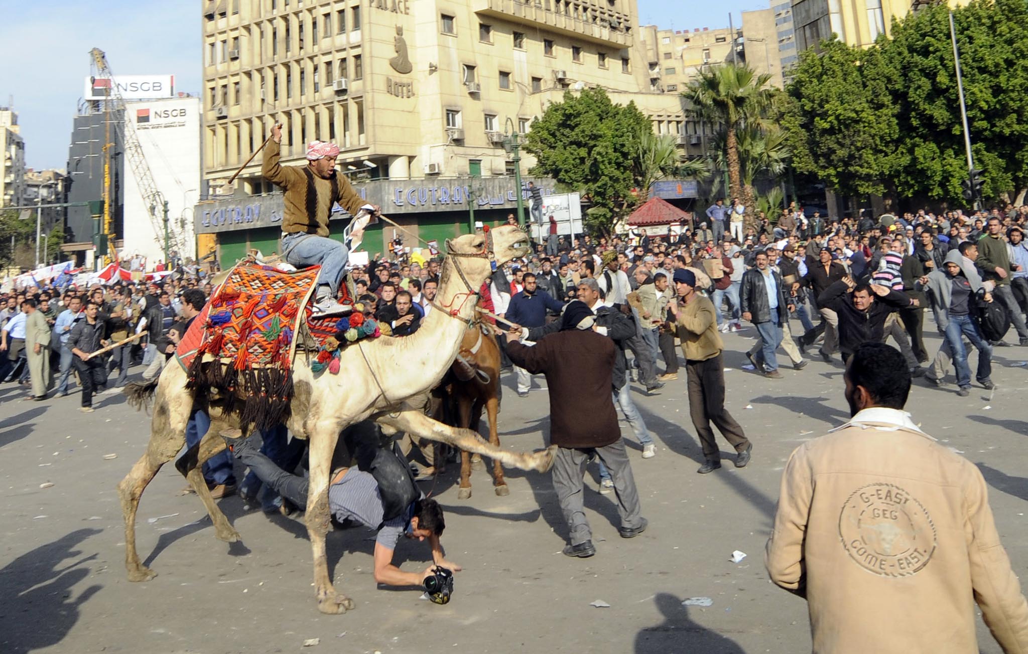 Battle of the Camel